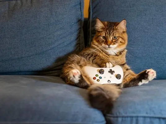 Online hry: když zábava začíná jedním kliknutím